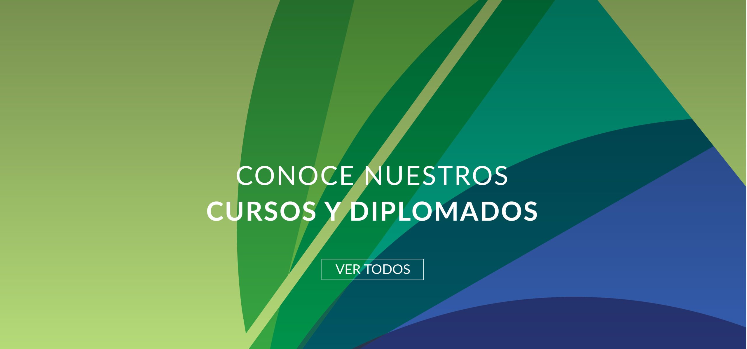 Banner página web CISAV Cursos y Diplomados