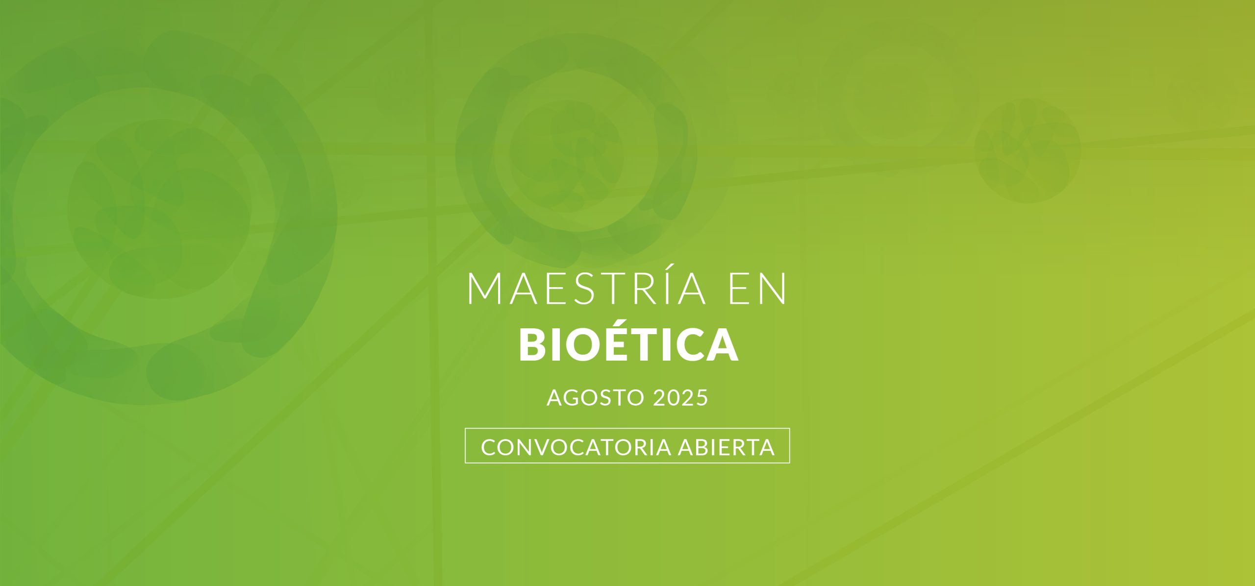 Diseño de banner maestría 2025