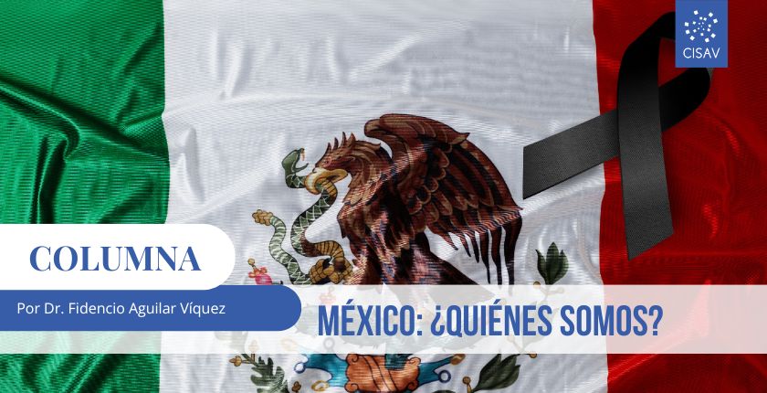 Columna_CISAV_México_Quiénes_somos