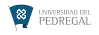 12 Logo Universidad del Pedregal
